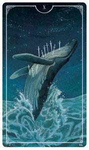 80bfd24e707a03fde485636be26195ae