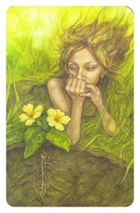 d5b1762e7f5b20b422e366a4c6dd7127