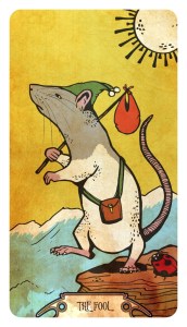 muroidea-rat-tarot-the-fool-prints