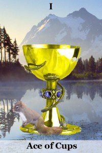 1_ace_of_cups_squirrel_tarot_by_yamtharf-d34282n
