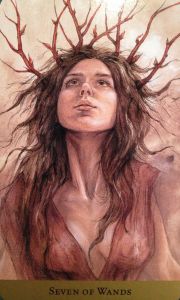 de8f6424ae8e0e957fa3f6eb6be34e2f--oracle-cards-tarot-cards