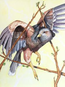 dcjs08o-c39bcd62-ded9-457b-949c-6fadad645ad9