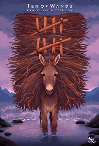 dcut5ws-bfc022ce-f408-46ad-ab0c-2b0f256c822e