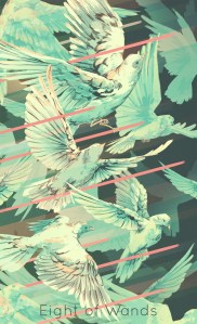 tumblr_p6b662Qs2p1rj84zpo2_1280